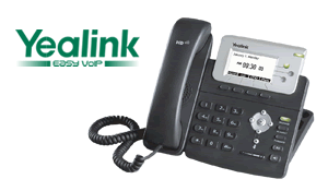 Yealink Professional IP Phone SIP-T22P (with PoE)